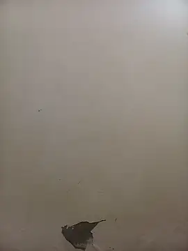 PatriciaVen online show from February 5, 2026, 5:36 am