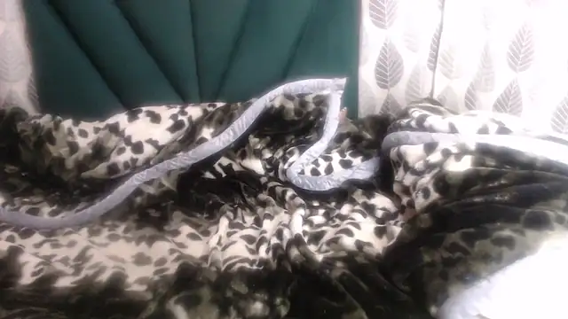 Nellybba online show from March 8, 2026, 4:21 pm