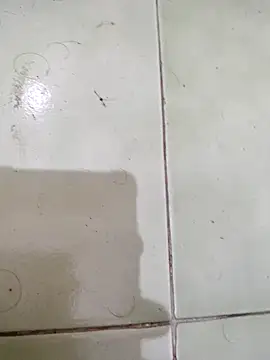 TamilBoy3007 online show from February 6, 2026, 7:32 pm