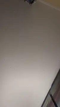 sterng6969 online show from March 13, 2026, 5:56 am