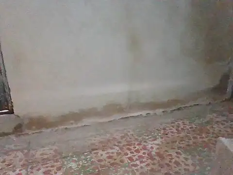 cuerposexy1 online show from March 20, 2026, 6:42 pm