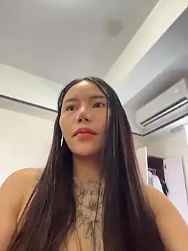 ll aaa online show from February 26, 2026, 4:01 am