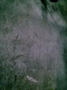 Diana-02 online show from February 15, 2026, 8:13 am