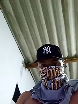 novinho br29 online show from February 1, 2026, 8:34 am