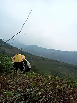 Nga x9 online show from March 13, 2026, 7:24 am