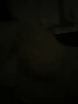Snapshot of japosamel chatting on May 15, 2026, 11:58 pm japosamel online show from May 15, 2026, 11:58 pm