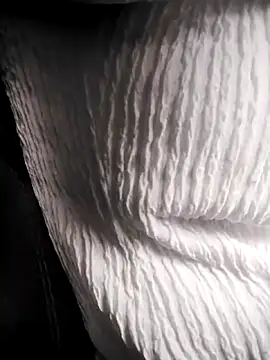 RosseLaure online show from February 25, 2026, 7:58 pm