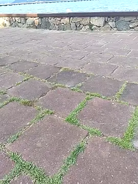 Gustavo52367 online show from February 20, 2026, 7:27 pm