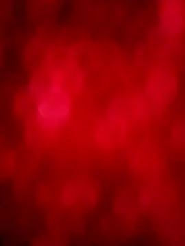 negrim10 online show from February 12, 2026, 3:56 pm