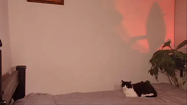 slowburnmystic online show from March 29, 2026, 4:03 am