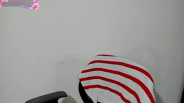 Snapshot of Vinaaly_ chatting on February 17, 2026, 6:27 pm Vinaaly online show from February 17, 2026, 6:27 pm