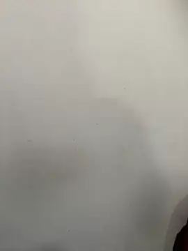 exoticshruti online show from February 22, 2026, 7:44 am