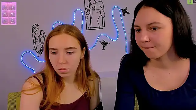 stella flower online show from February 5, 2026, 6:42 am