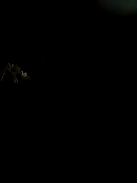 Snapshot of CattingSample chatting on April 15, 2026, 8:31 pm CattingSample online show from April 15, 2026, 8:31 pm