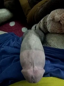 amirMohamed58 online show from February 23, 2026, 9:26 pm