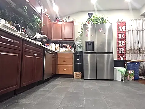 bischo666 online show from February 24, 2026, 2:12 am