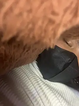 Violin xue online show from February 14, 2026, 11:32 am