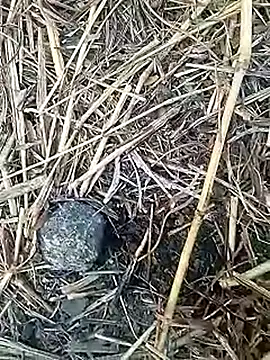 Cute Boy 4 online show from February 4, 2026, 2:28 am