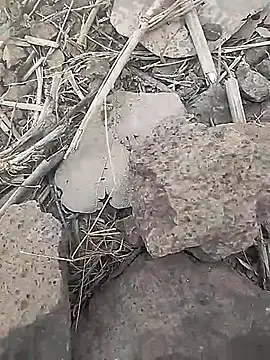 Cute Boy 4 online show from February 18, 2026, 7:39 am