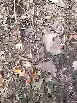 Cute Boy 4 online show from April 19, 2026, 9:10 am