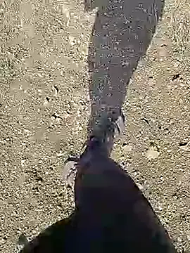 Cute Boy 4 online show from April 10, 2026, 4:19 am