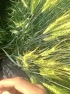 Cute Boy 4 online show from February 10, 2026, 3:27 am