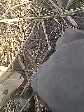 Cute Boy 4 online show from March 13, 2026, 9:58 am