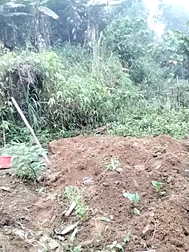 Tina-beo online show from April 18, 2026, 8:27 am