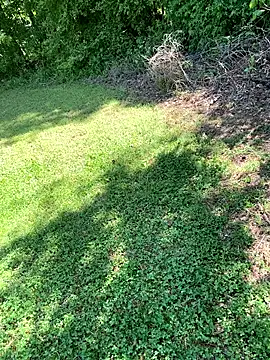 magic man1085 online show from April 18, 2026, 2:52 pm