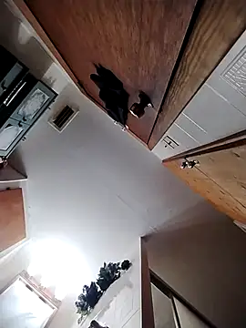 chad23162 online show from February 13, 2026, 4:51 pm