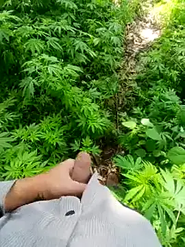 Sharmasamba online show from March 24, 2026, 6:13 am