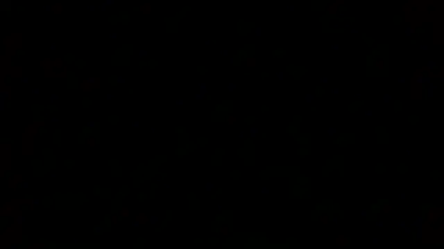 Luanatrav1 online show from March 12, 2026, 9:46 am