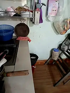 Tulip ii online show from February 26, 2026, 3:17 am