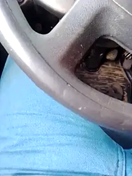 pau-de-ourod online show from April 12, 2026, 10:51 am