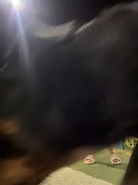 Arya    online show from February 19, 2026, 5:48 am