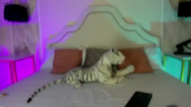 Snapshot of niicole_garner chatting on February 25, 2026, 3:56 pm niicole garner online show from February 25, 2026, 3:56 pm