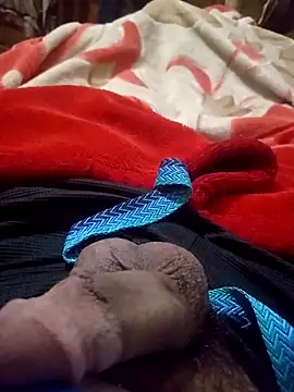 Al-Hari online show from February 8, 2026, 6:05 pm