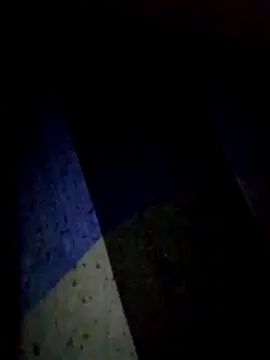 Talkwithsex online show from February 9, 2026, 11:47 pm