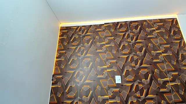 abbyyevanss online show from February 19, 2026, 8:17 pm