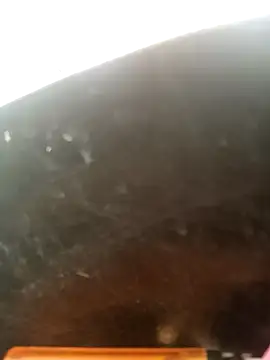 perrit17 online show from March 13, 2026, 7:08 pm