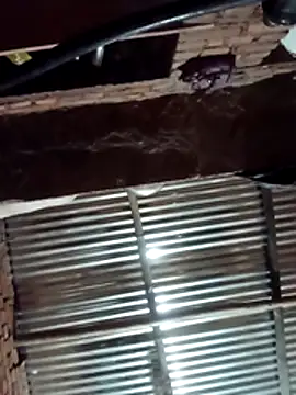 Hot ree64 online show from March 27, 2026, 5:25 pm