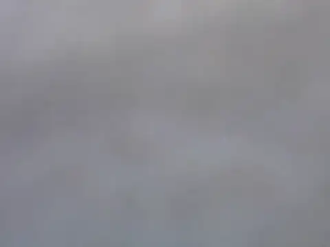 Dini 40 online show from February 5, 2026, 1:29 pm