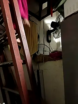 Wildcam21 online show from February 15, 2026, 5:19 am