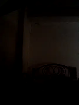 Wildcam21 online show from February 17, 2026, 9:12 pm