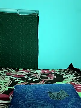 Tamilkannadacouple online show from April 6, 2026, 11:44 am