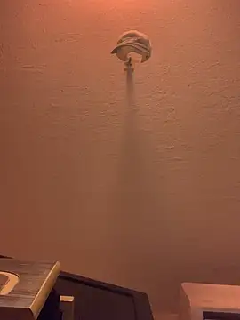 Camlechera1995 online show from February 14, 2026, 3:51 am