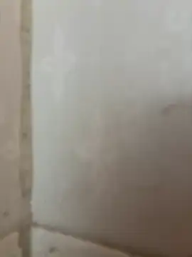 Ronny69y online show from February 20, 2026, 6:26 am