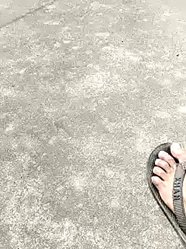 collboy8166 online show from February 16, 2026, 6:12 am