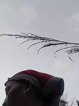 Linka998 online show from March 20, 2026, 11:11 am