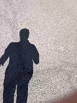 stallone italiano 62 online show from March 17, 2026, 11:24 am